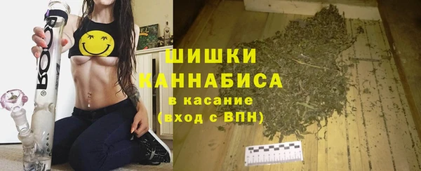 гидра Алзамай