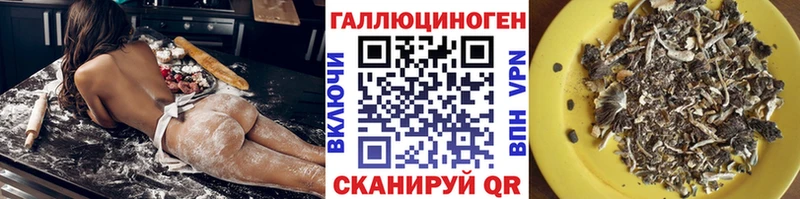 Галлюциногенные грибы Magic Shrooms  как найти закладки  Магадан 